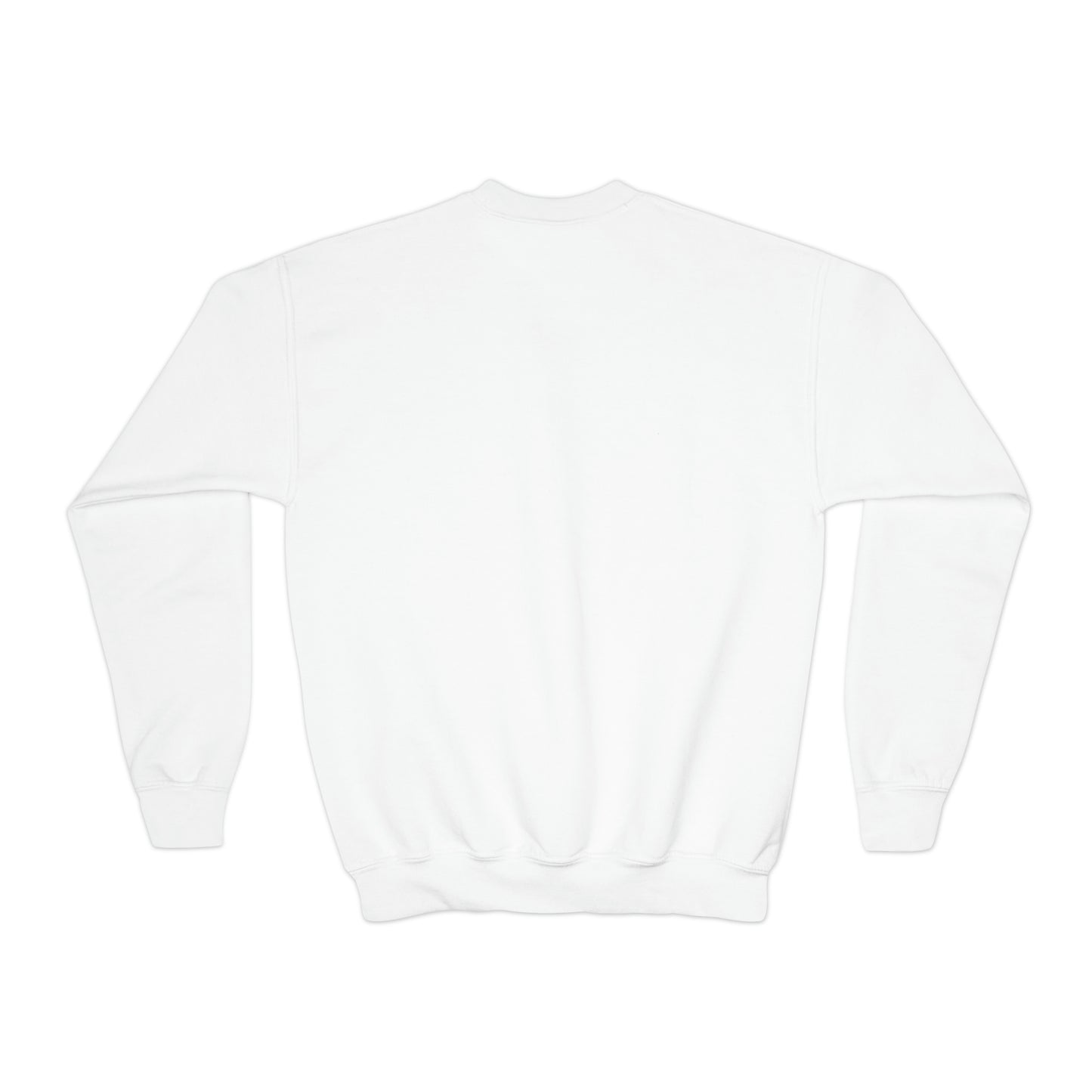 Youth Sweatshirt - Mini spice