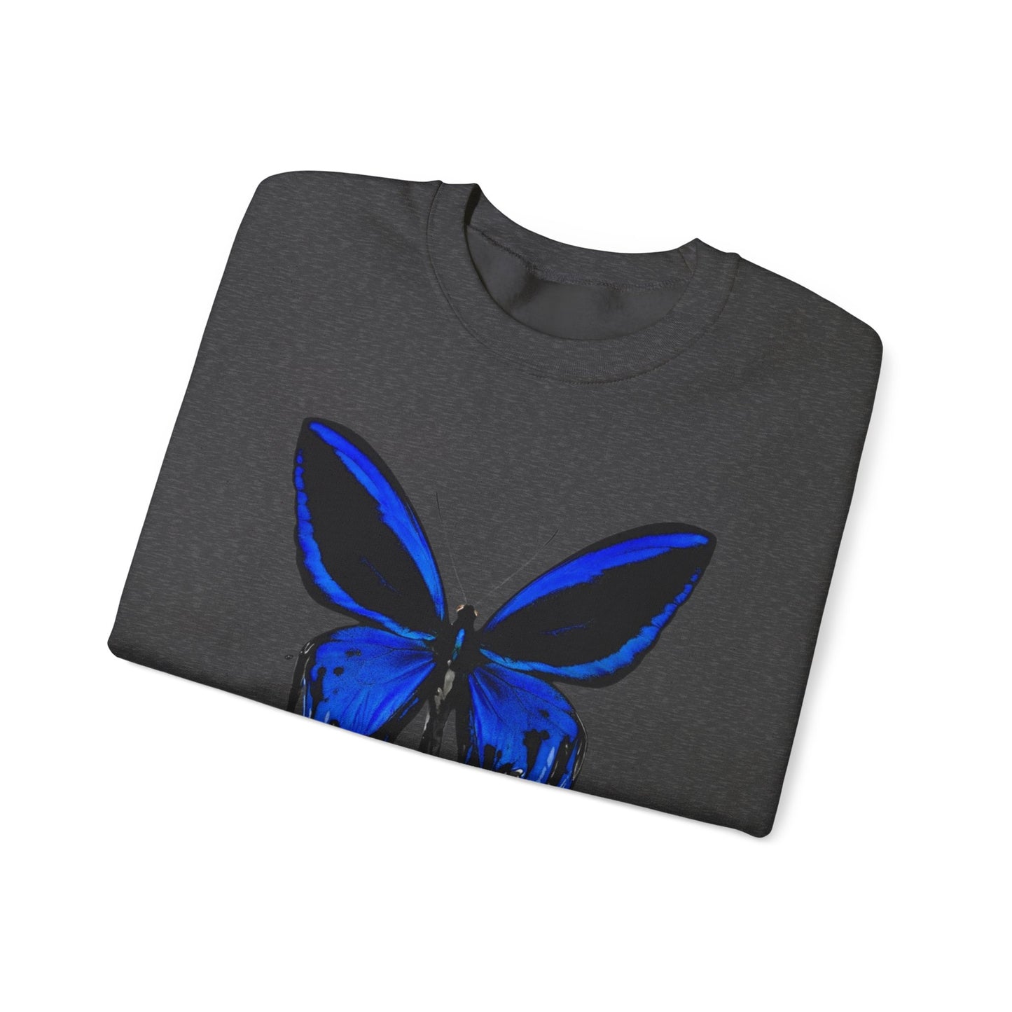 Wings Sweatshirt